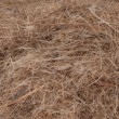 Fillers, Fibers & Powders